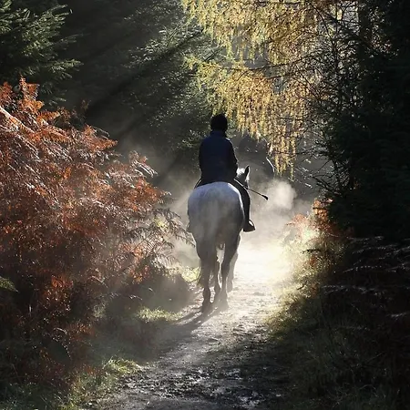 别墅 Agrolux Haven - Where Nature Meets Refined Comfort -Private Pool *