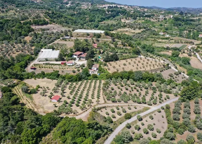 Villa Agrolux Oasis - A Private Pool Escape In Lush Agricultural Serenity Sálakos