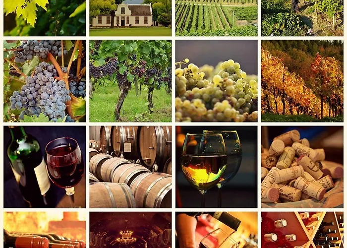 Agrolux Oasis - A Private Pool Escape In Lush Agricultural Serenity Villa