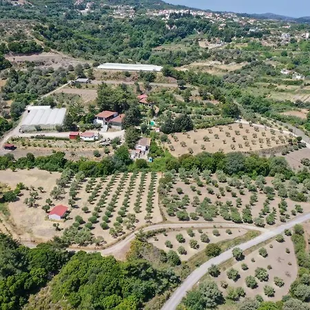 Вилла Agrolux Haven - Where Nature Meets Refined Comfort -Private Pool Salakos