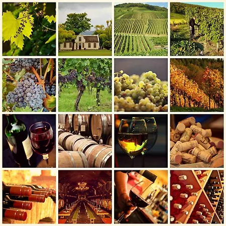 Agrology Lux - 4 Bedroom Luxurious On An Agricultural Haven Retreat ヴィラ